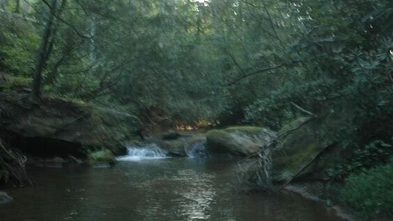 Photo of Others in Clayton