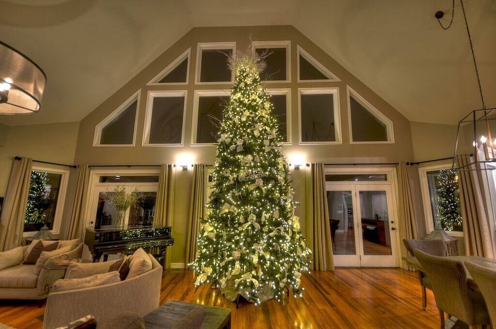 Photo of Others in Mineral Bluff