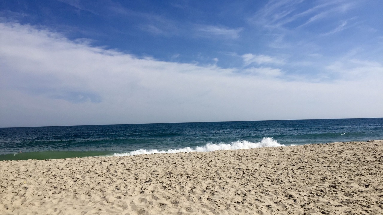 Photo of Others in Surfside