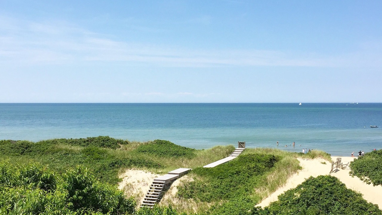 Photo of Others in Surfside