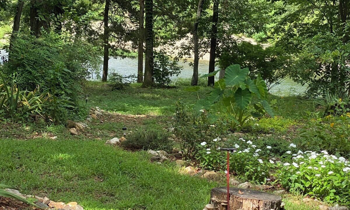 Photo of Outdoor in Caddo Gap