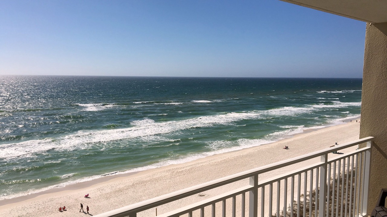 Photo of Others in Panama City Beach