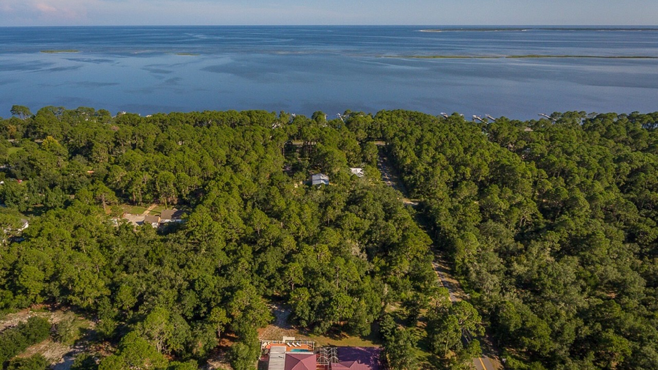 Photo of Outdoor in Carrabelle