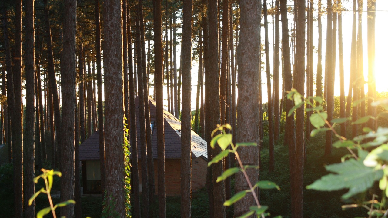 Photo of Outdoor in Hardelot-Plage
