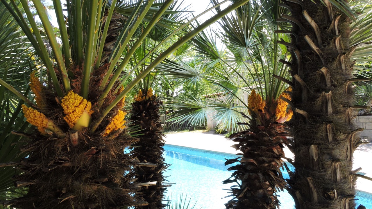 Photo of Outdoor in Beaulieu