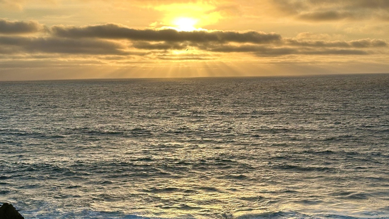 Photo of Others in Old Town