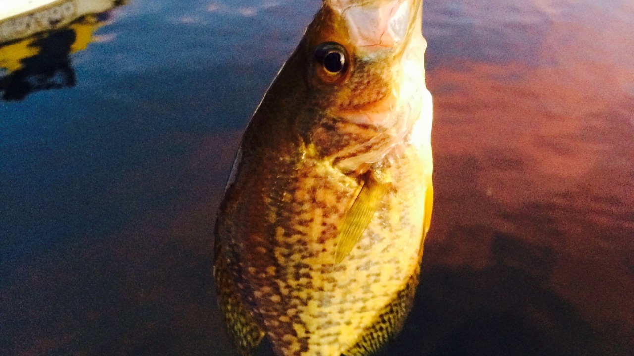 Photo of Others in Kalispell