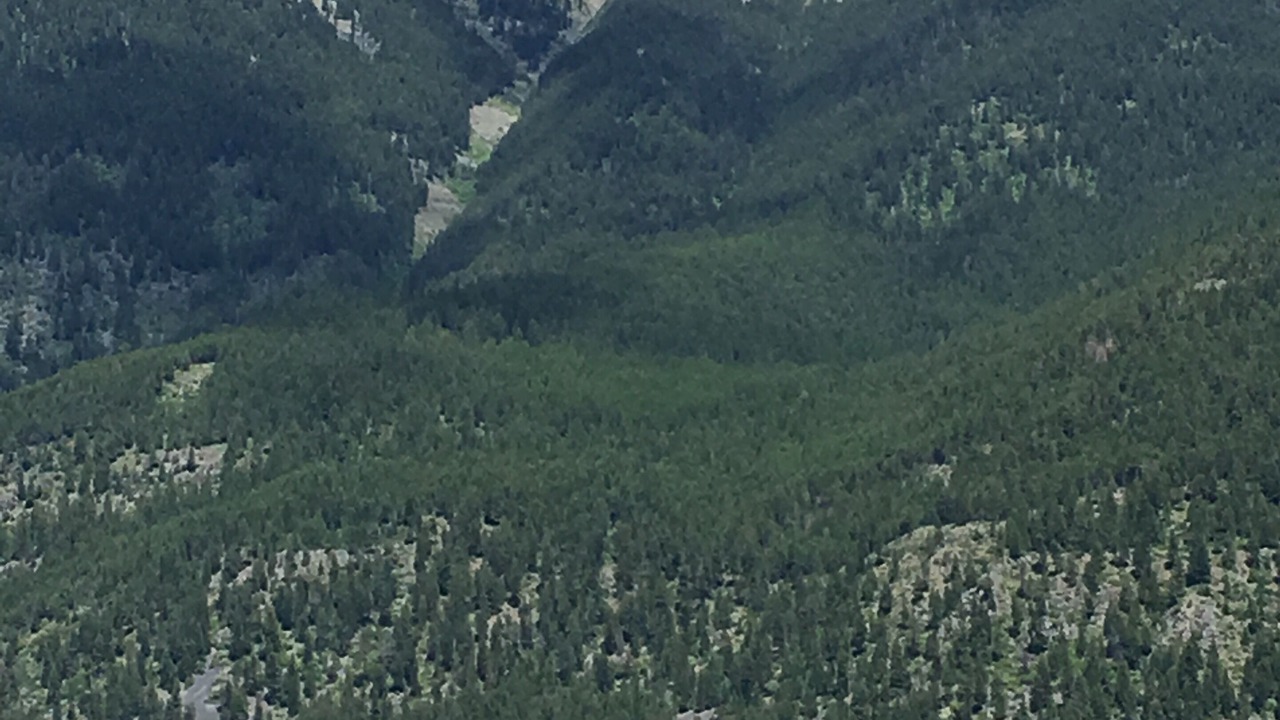 Photo of Outdoor in Kalispell