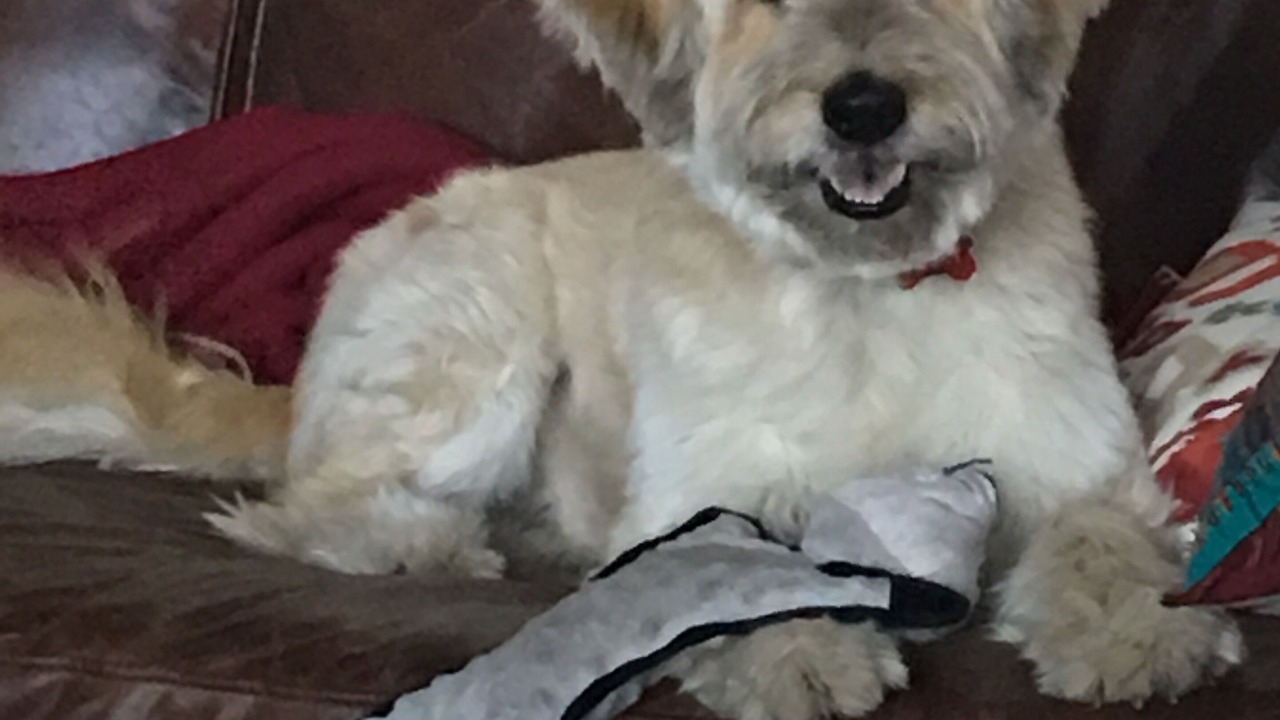 Photo of Others in Kalispell