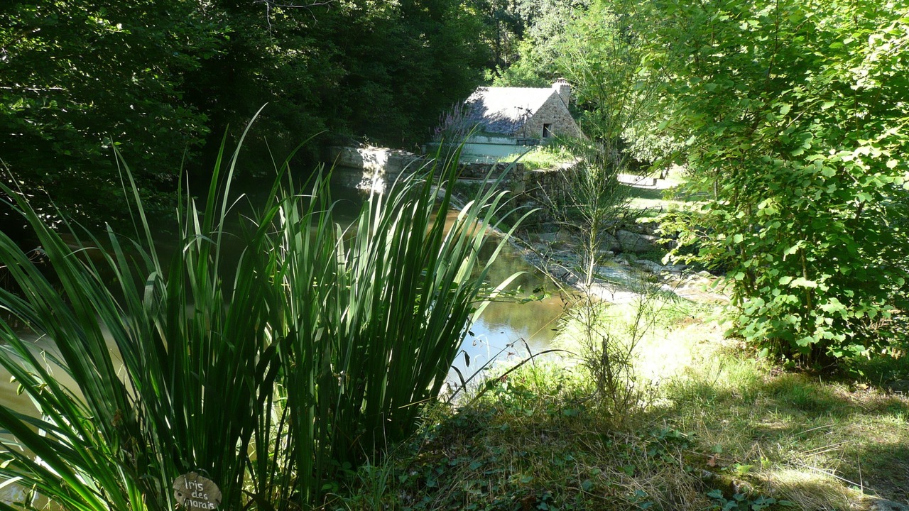 Photo of Outdoor in Vaureilles
