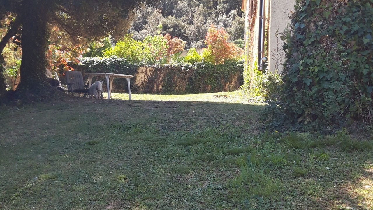 Photo of Outdoor in Ceret