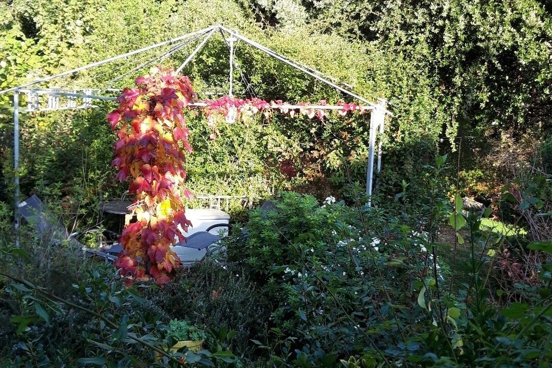 Photo of Outdoor in Ceret