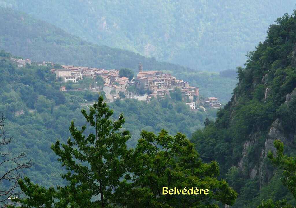 Photo of Outdoor in Belvedere