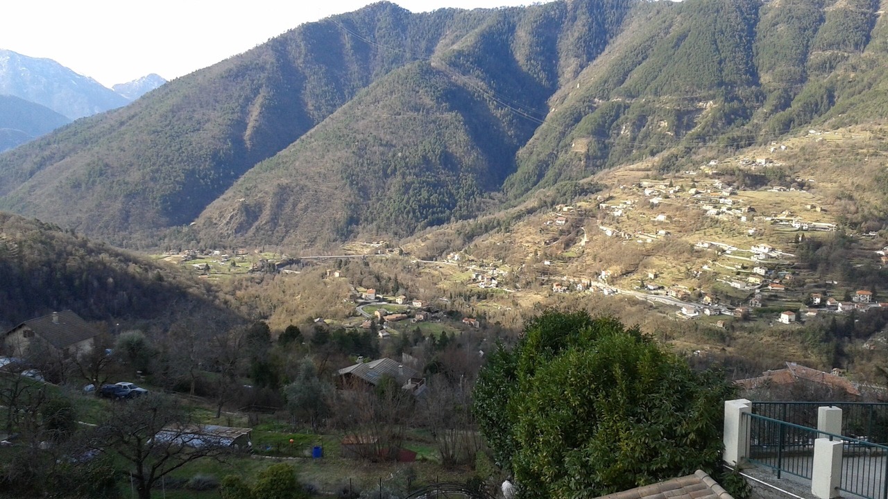 Photo of Others in Belvedere