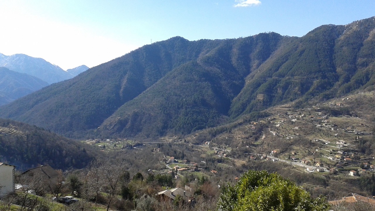 Photo of Others in Belvedere