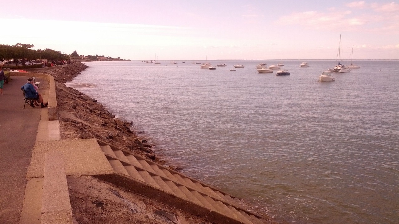 Photo of Others in La Flotte