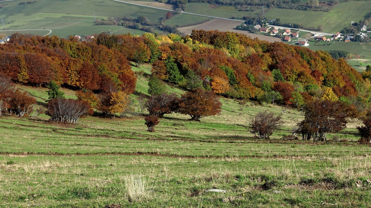 Photo of Outdoor in Saint-Jean-de-Vaulx