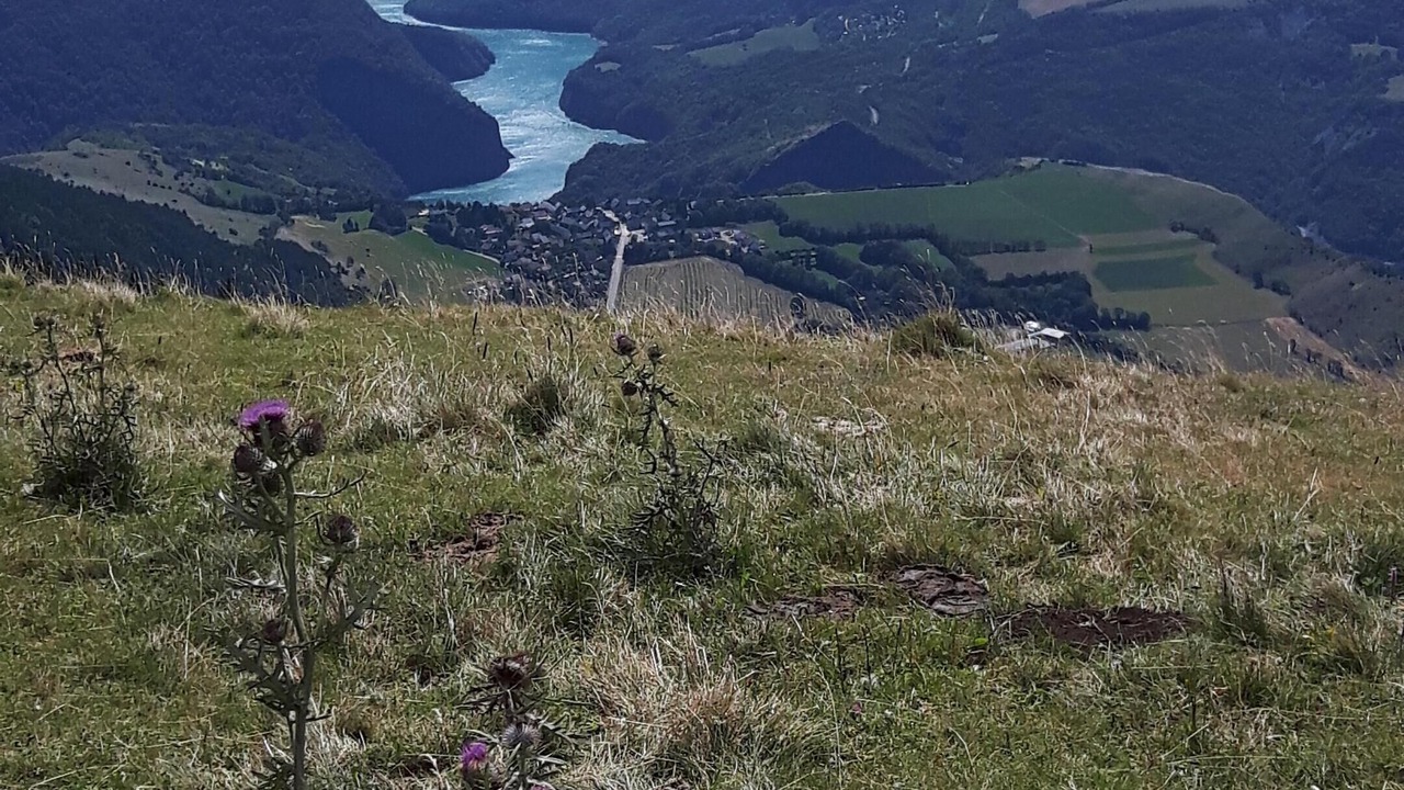 Photo of Outdoor in Saint-Jean-de-Vaulx