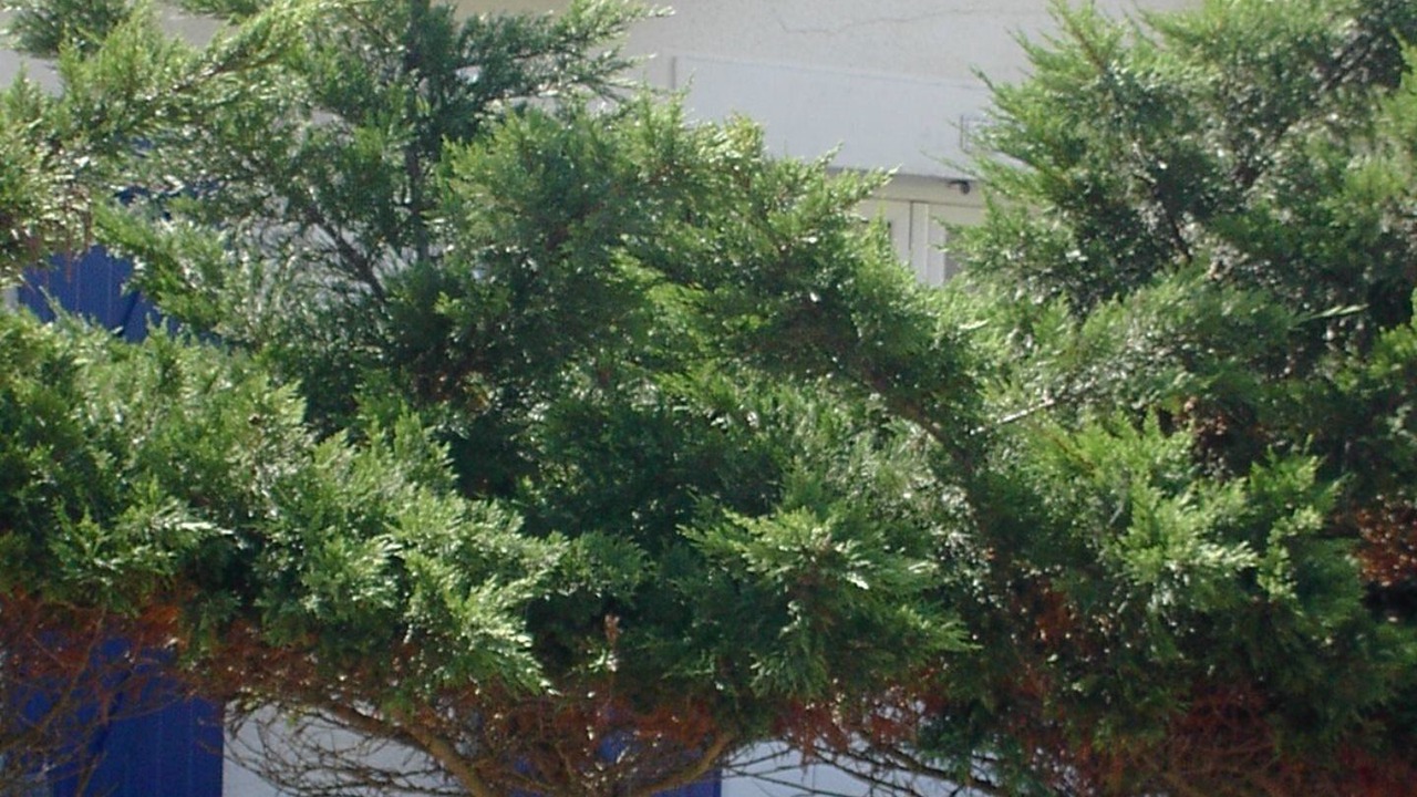 Photo of Outdoor in Pornichet