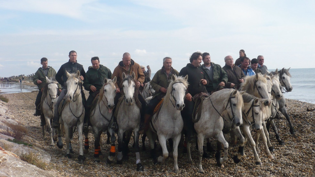 Photo of Others in Saintes-Maries-de-la-Mer