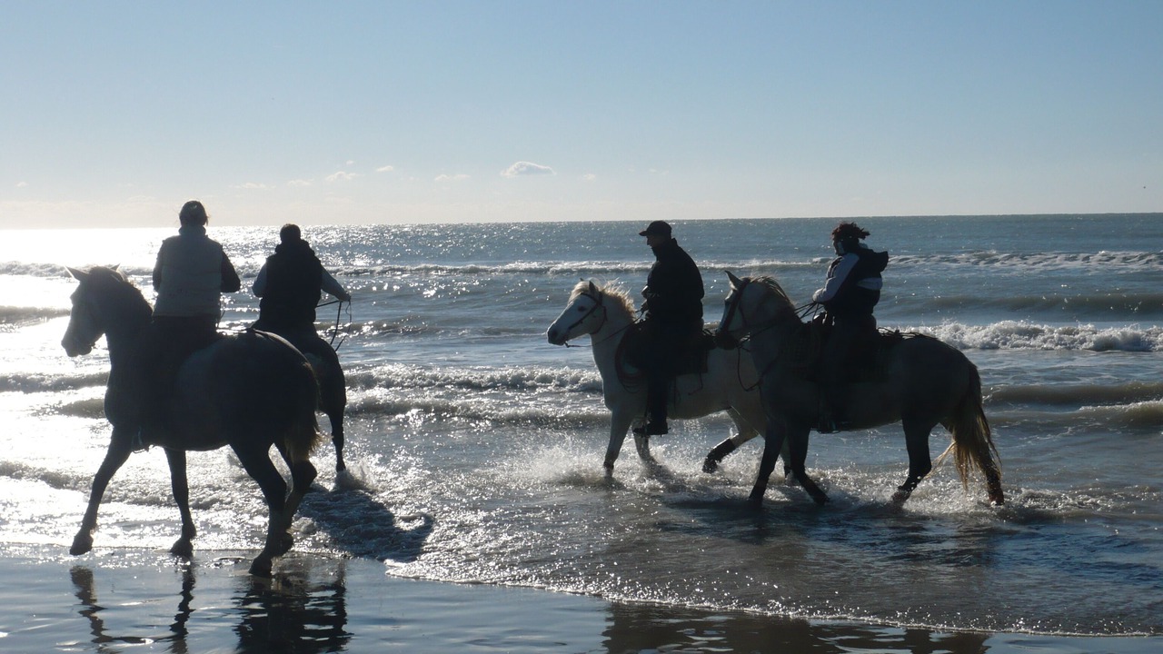 Photo of Others in Saintes-Maries-de-la-Mer