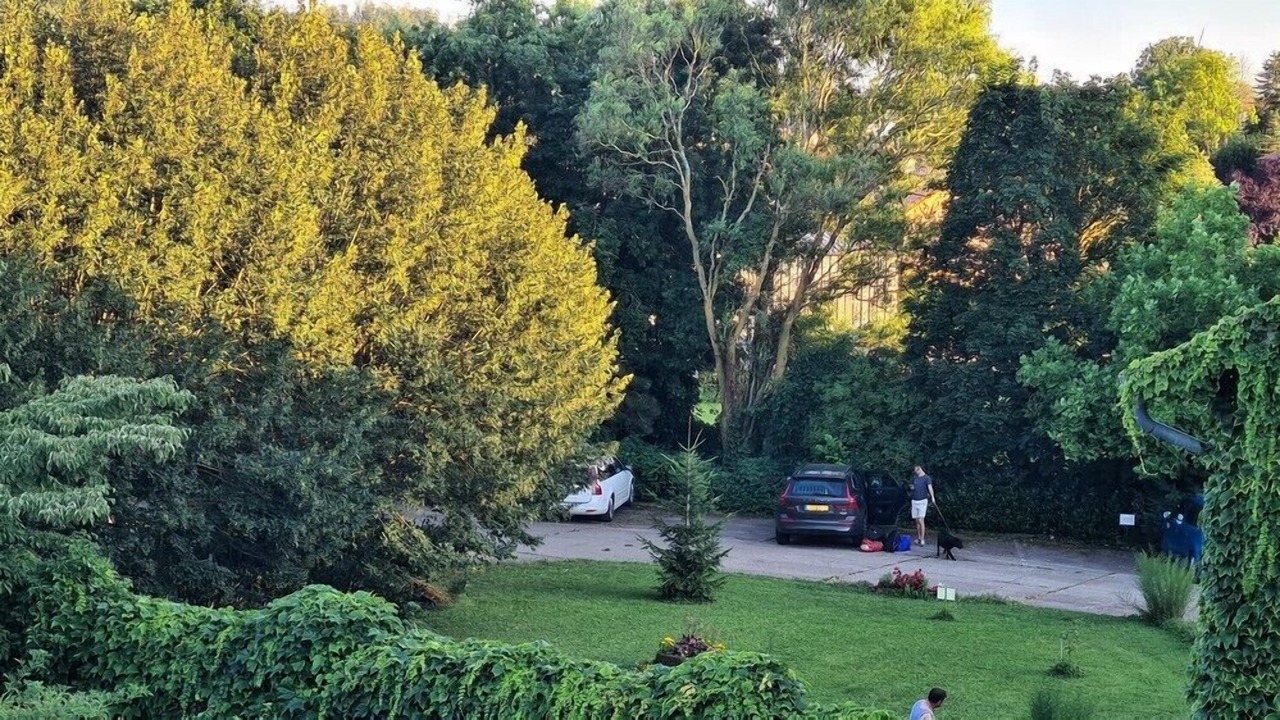 Photo of Others in Remoncourt