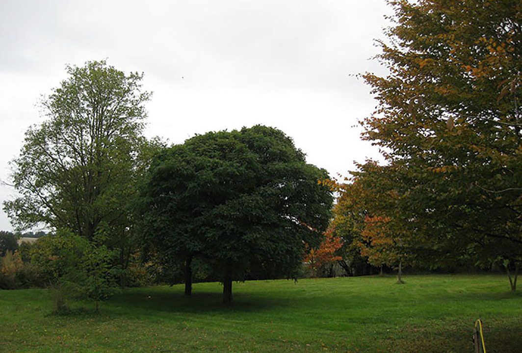 Photo of Outdoor in Chatillon-sur-Indre