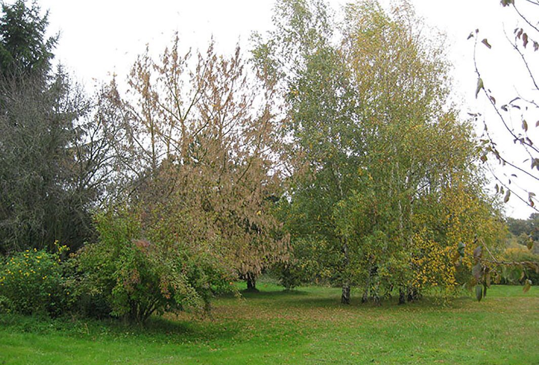 Photo of Outdoor in Chatillon-sur-Indre