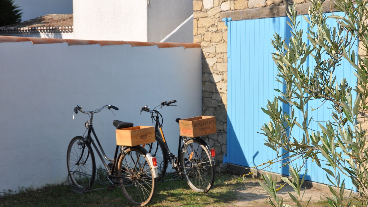 Photo of Outdoor in Barbatre
