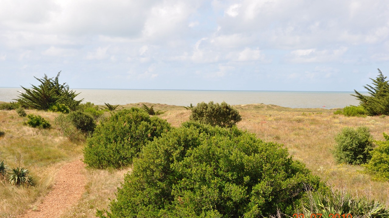 Photo of Others in Barbatre