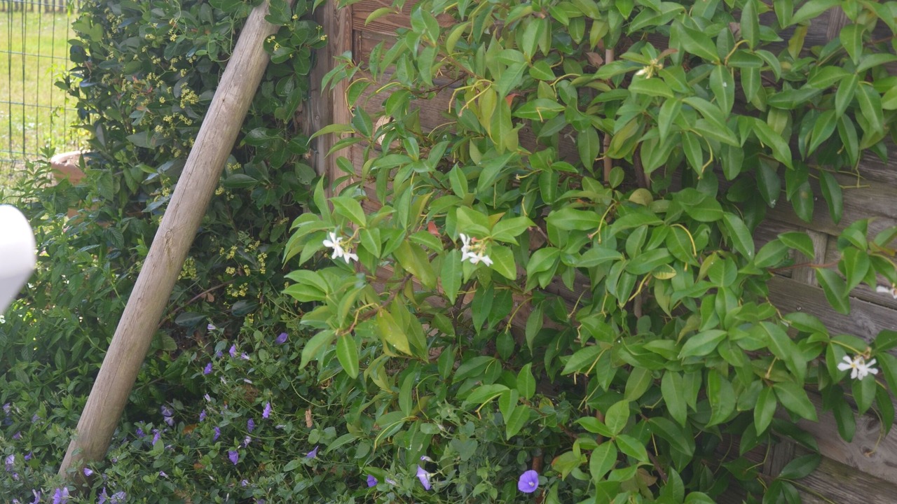 Photo of Outdoor in Olonne-sur-Mer