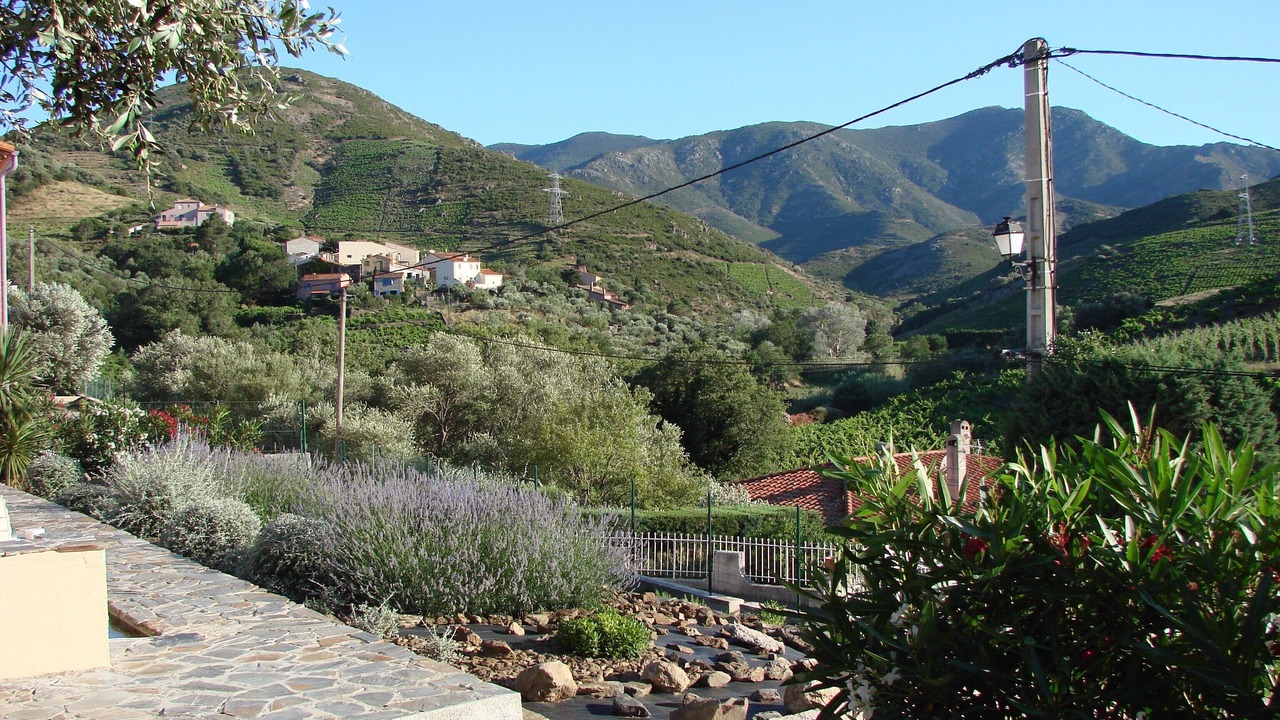 Photo of Others in Banyuls-sur-Mer