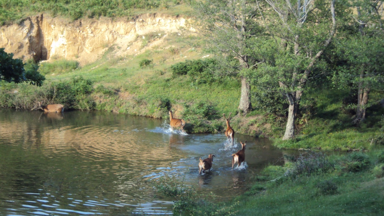 Photo of Outdoor in Las Illas