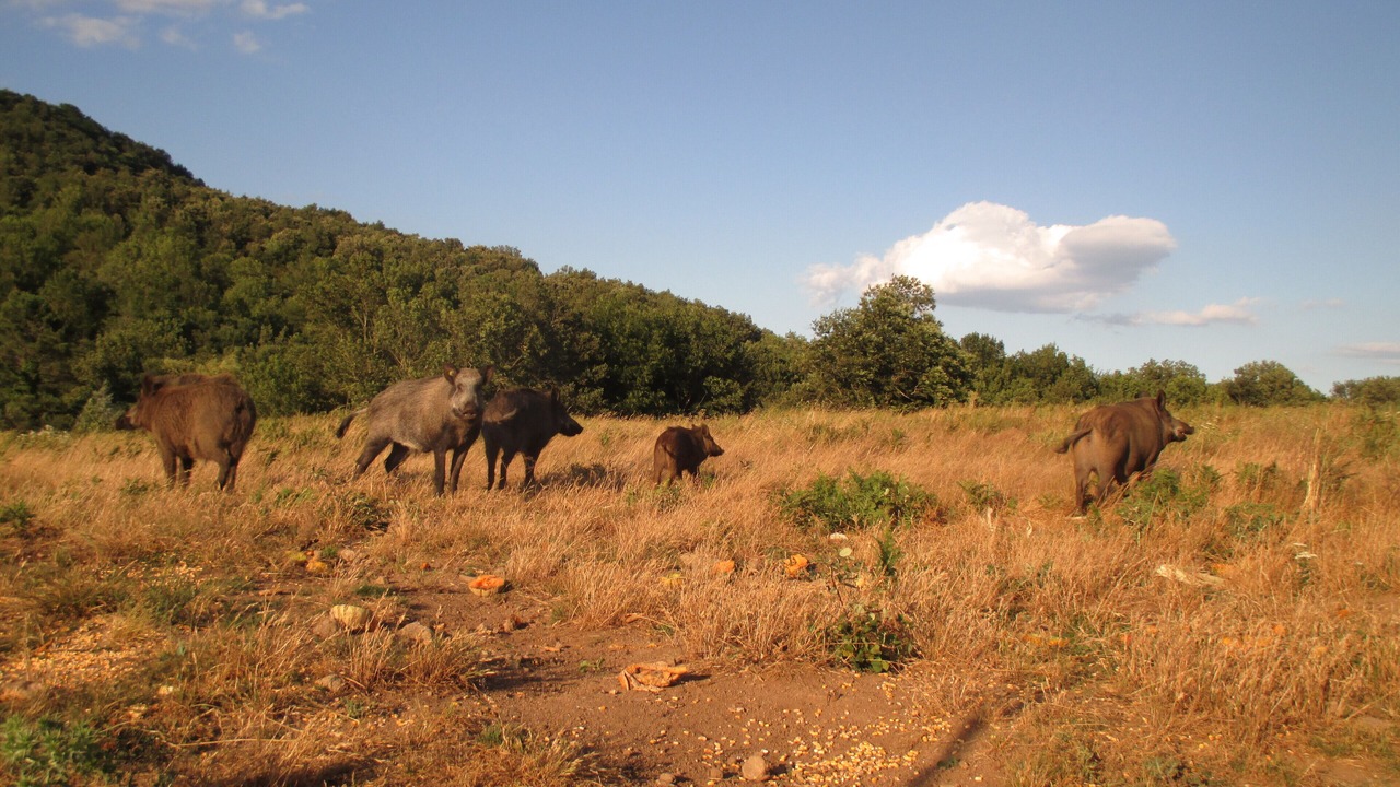 Photo of Outdoor in Las Illas
