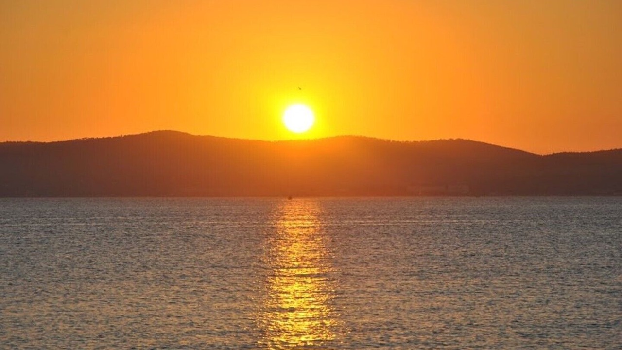 Photo of Others in Cavaliere