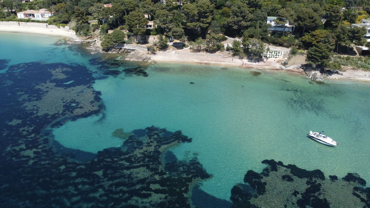 Photo of Others in Cavaliere