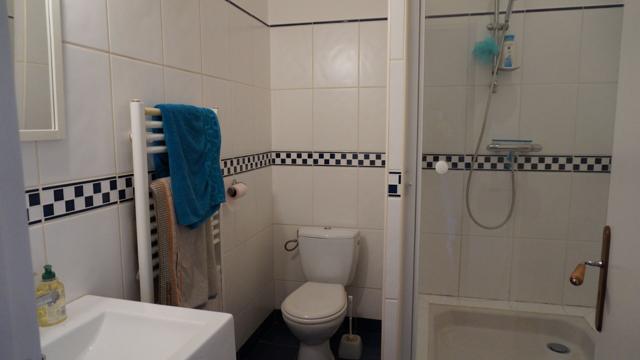 Photo of Bathroom in Adissan