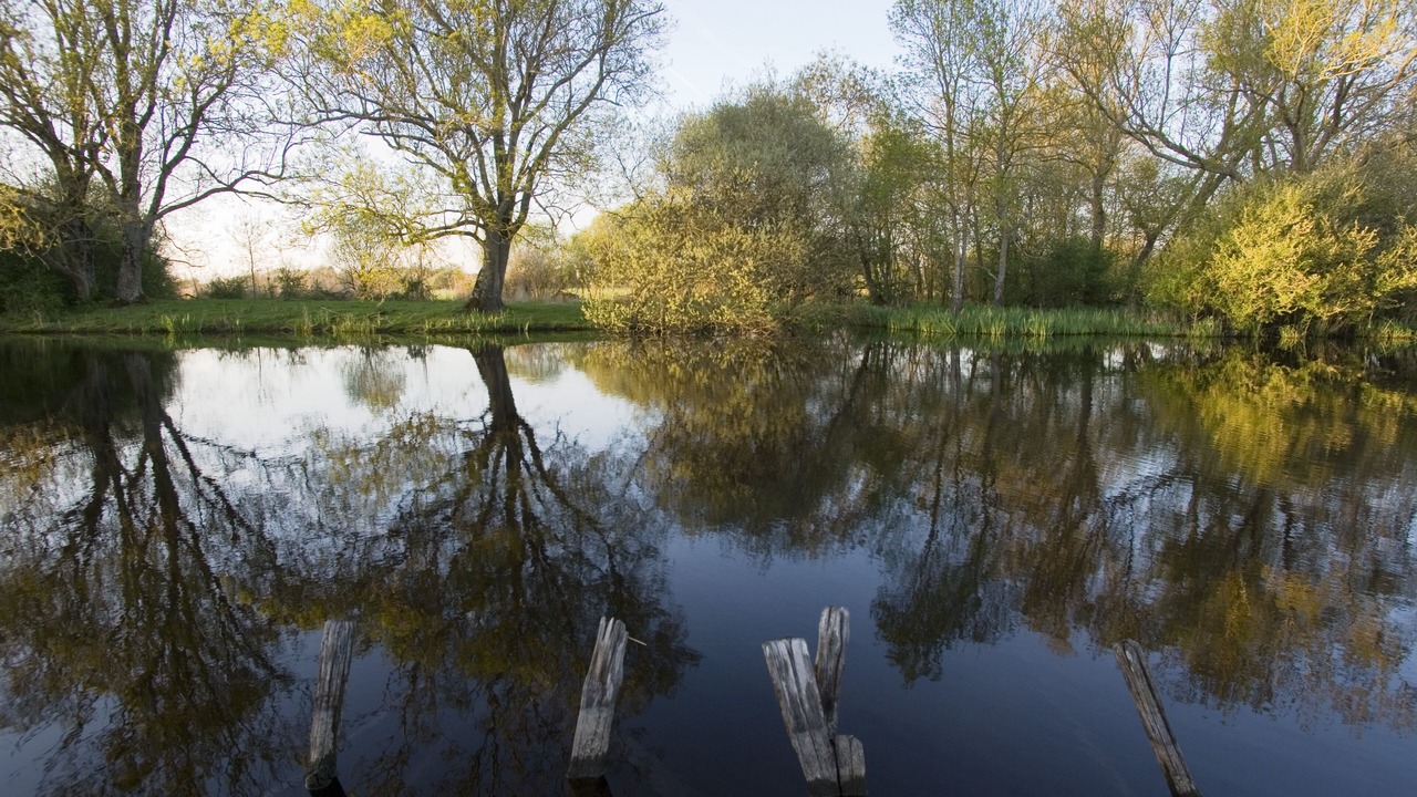 Photo of Outdoor in Saint-Lyphard