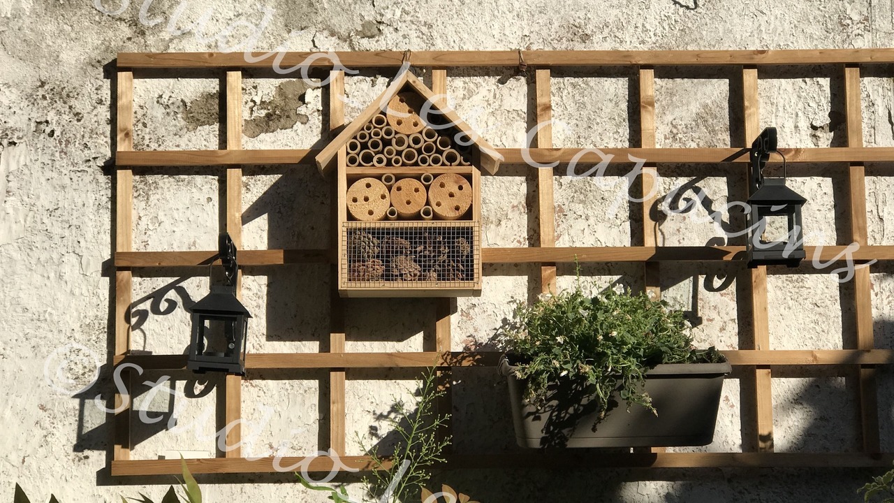 Photo of Outdoor in Honfleur