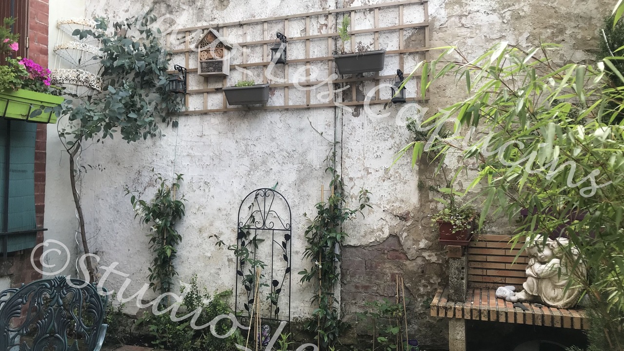 Photo of Outdoor in Honfleur