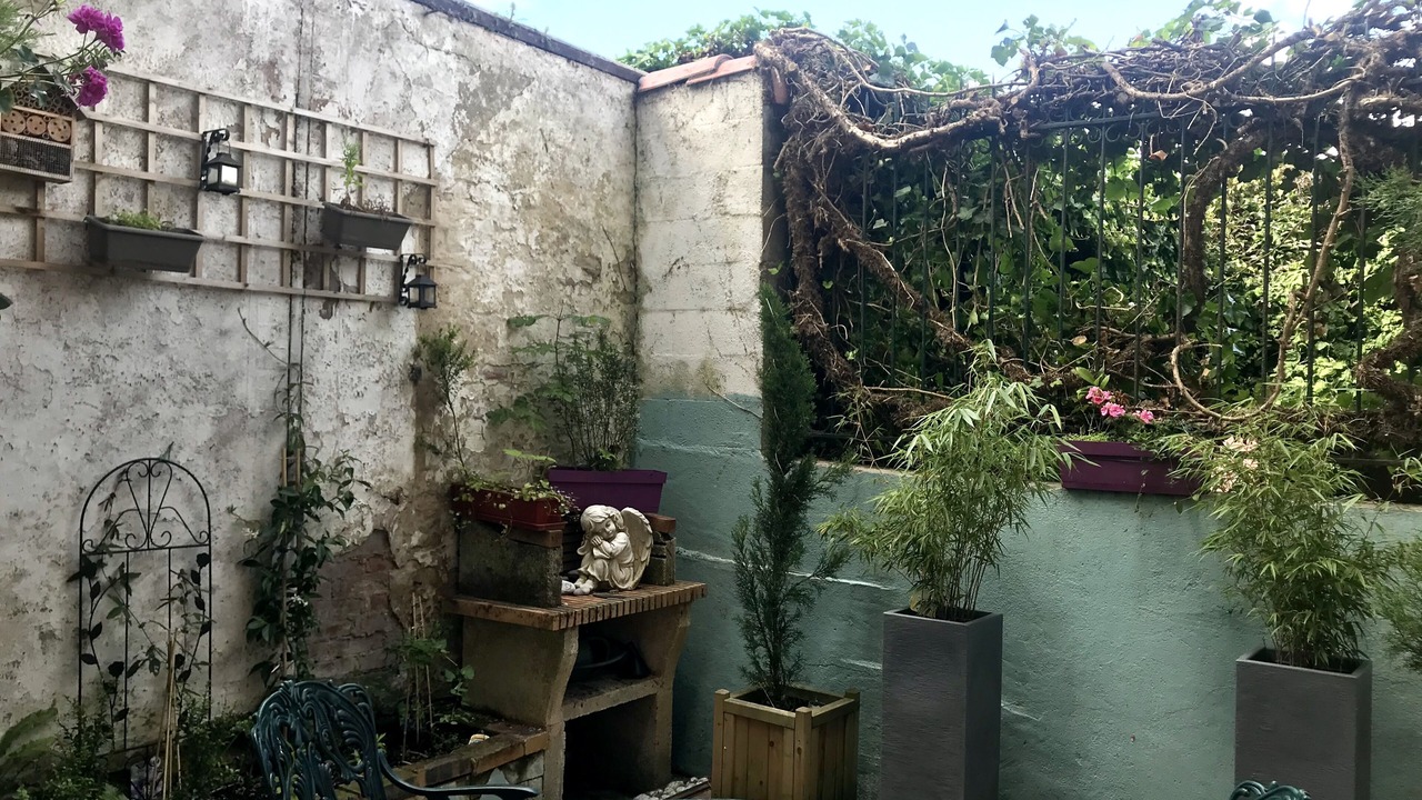 Photo of Outdoor in Honfleur