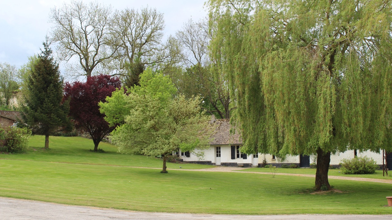 Photo of Outdoor in Grand-Laviers