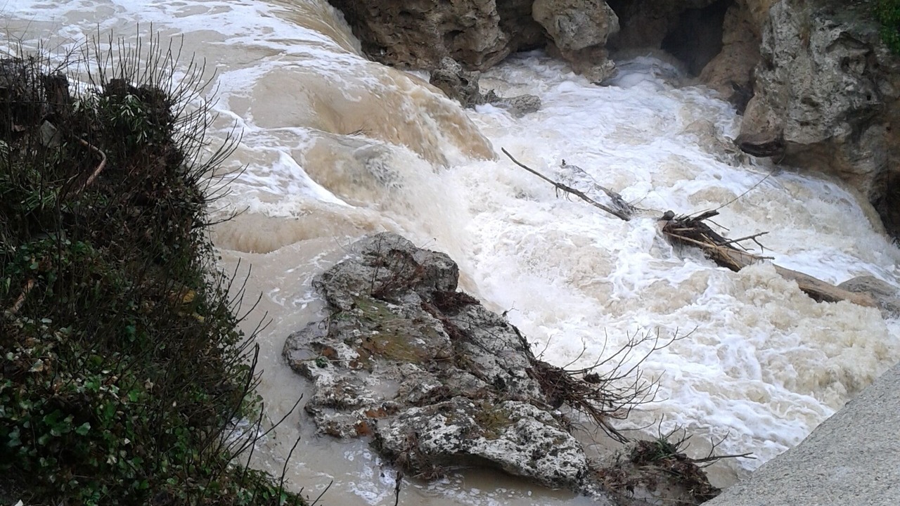 Photo of Outdoor in Trans-en-Provence