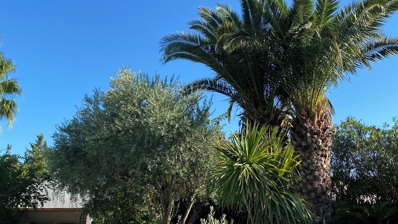 Photo of Outdoor in Puimisson
