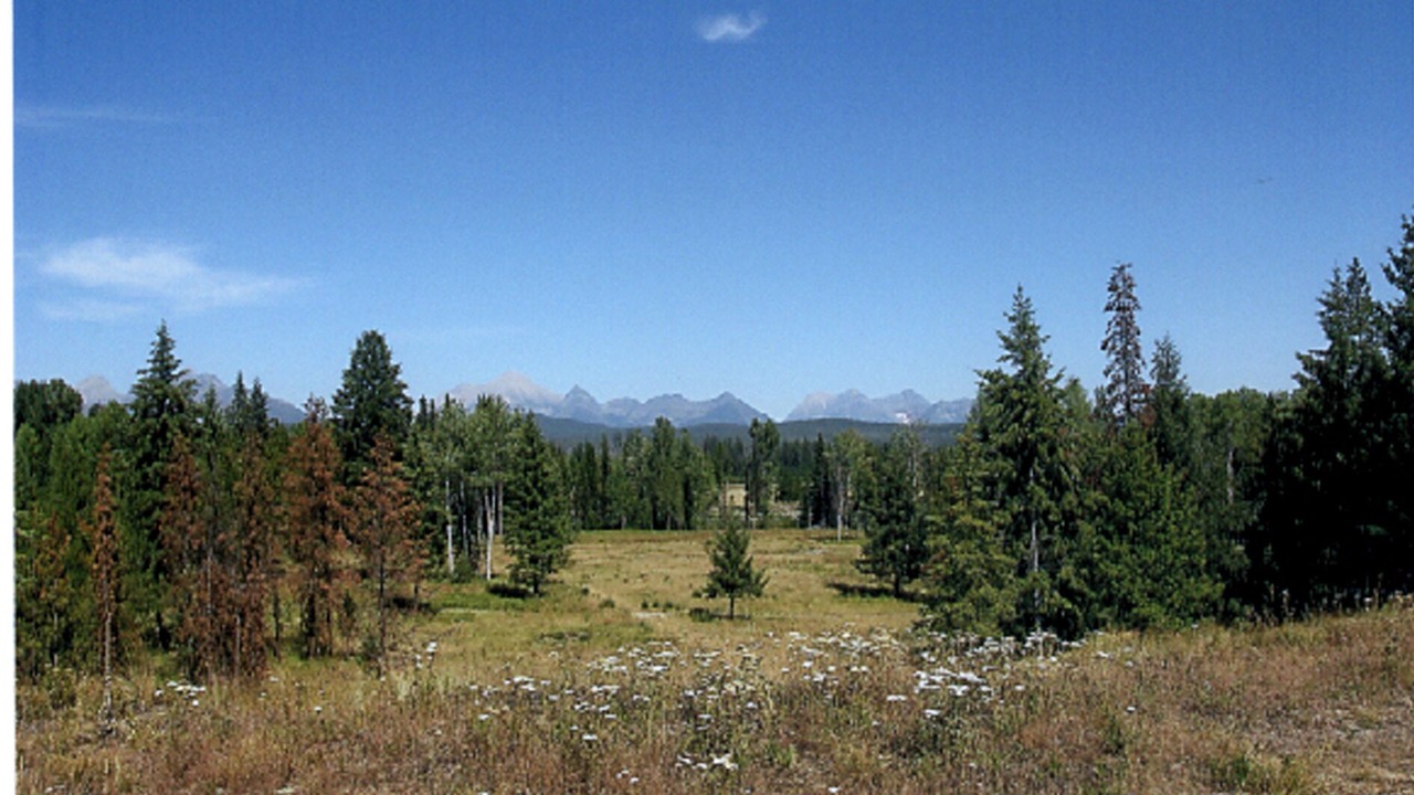 Photo of Outdoor in Polebridge