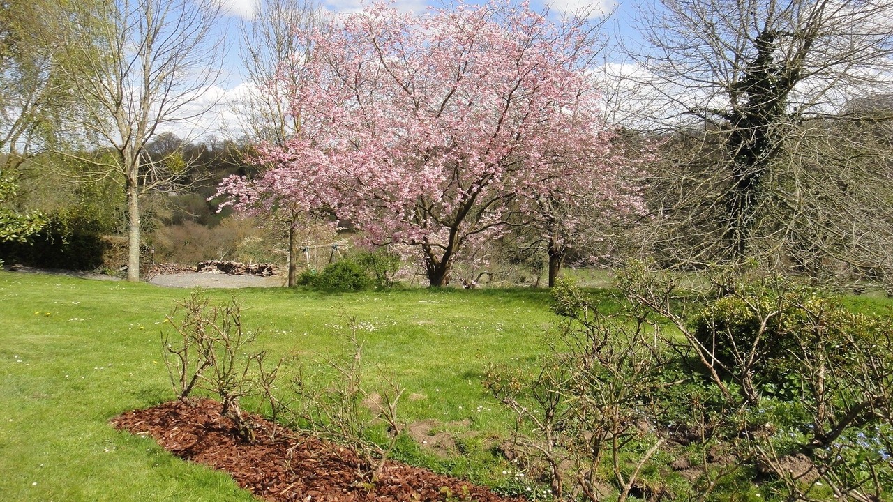 Photo of Outdoor in Gonneville-sur-Honfleur