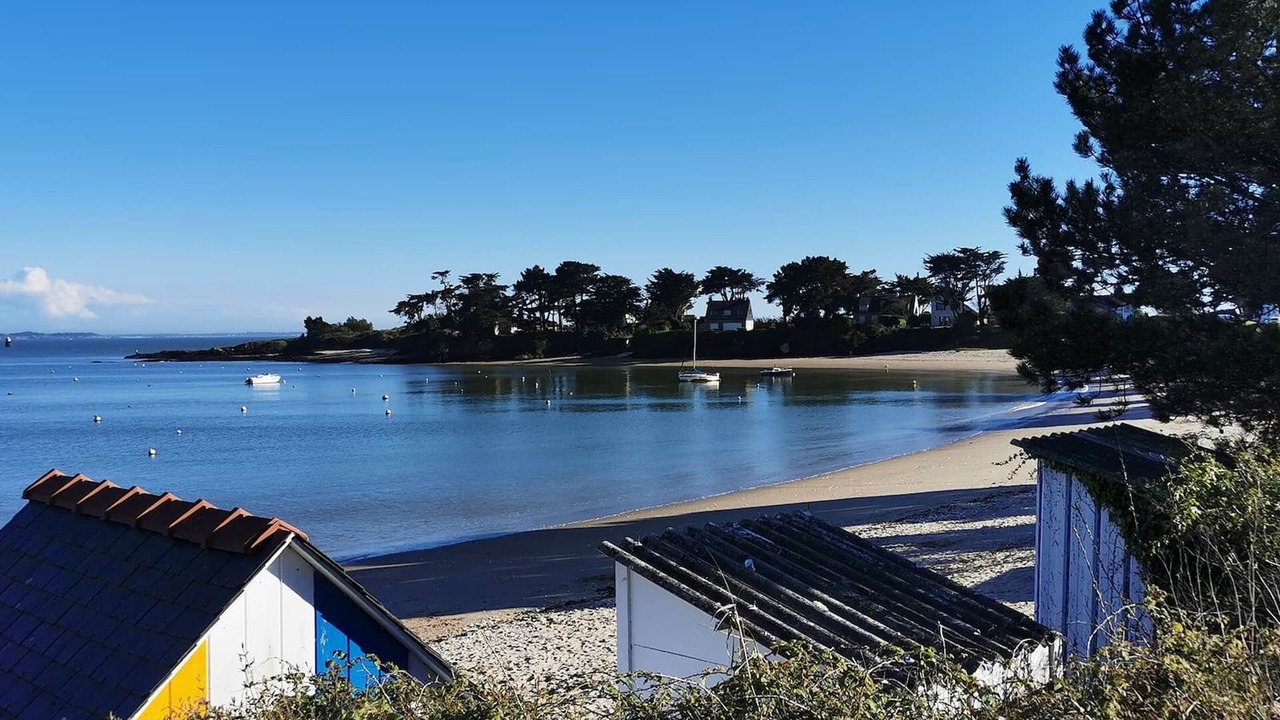 Photo of Others in Ambon