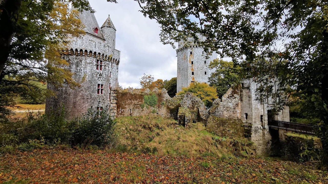 Photo of Others in Ambon