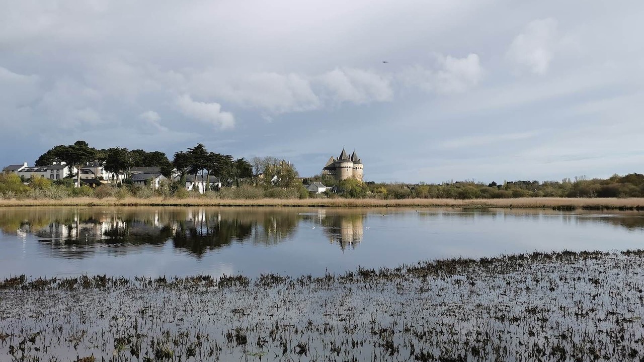 Photo of Others in Ambon