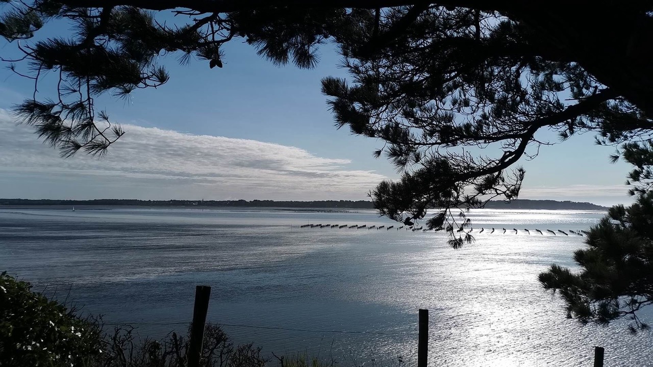 Photo of Others in Ambon